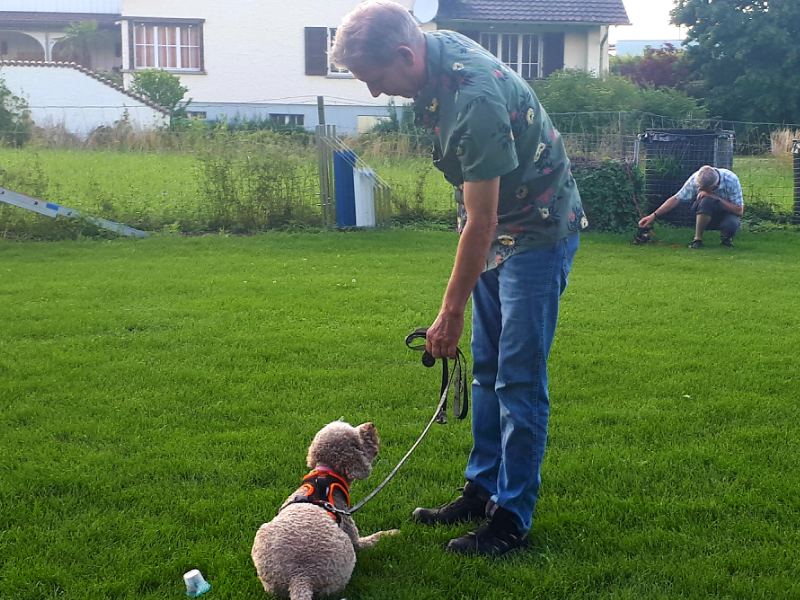 Antigiftkoeder_Training